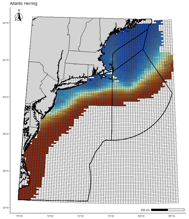 Atlantic Herring