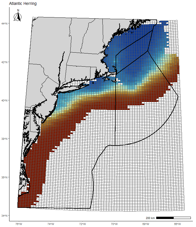 Atlantic Herring
