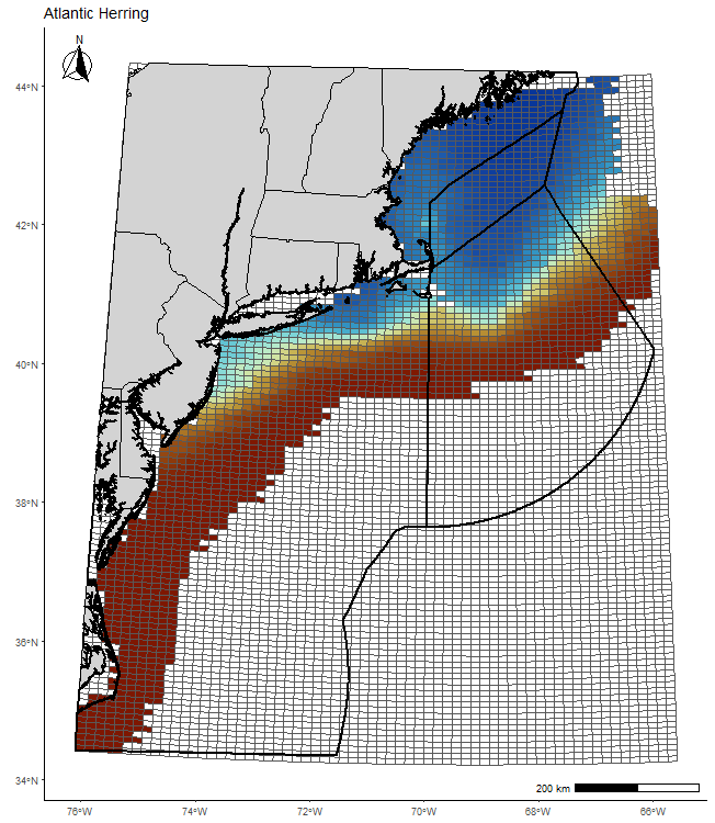 Atlantic Herring