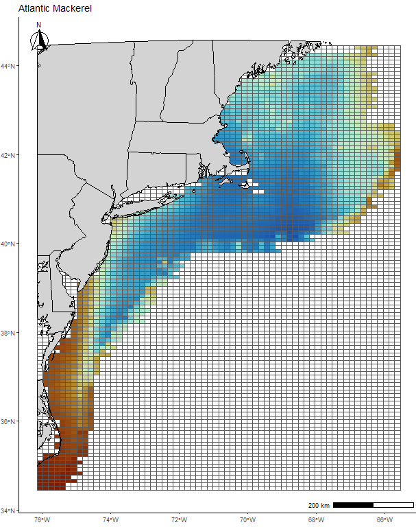 Atlantic Mackerel