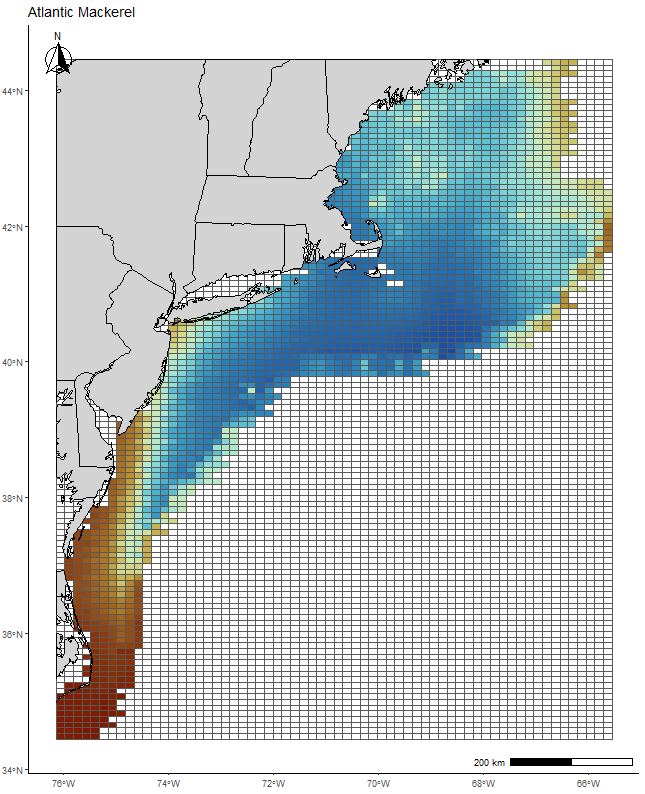 Atlantic Mackerel