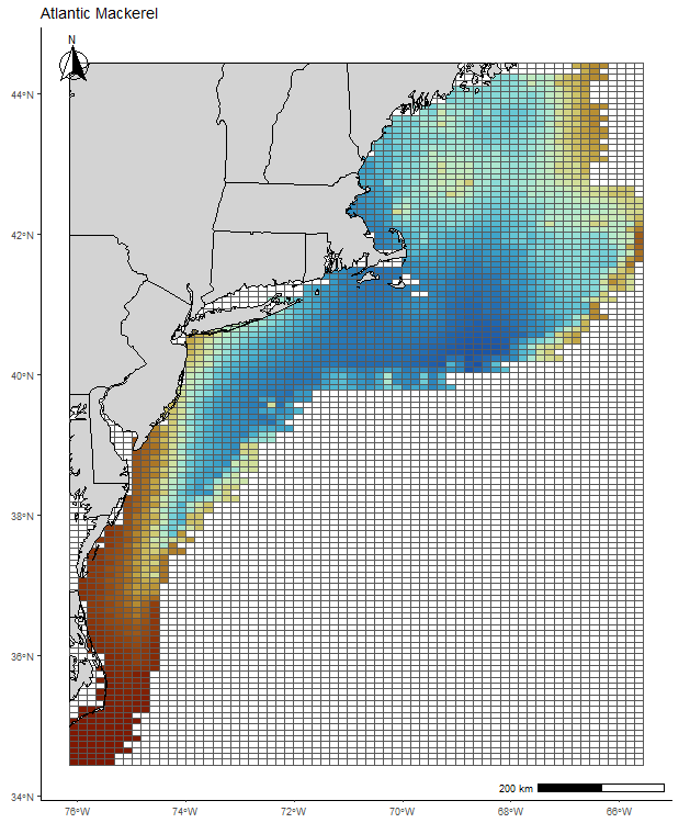 Atlantic Mackerel
